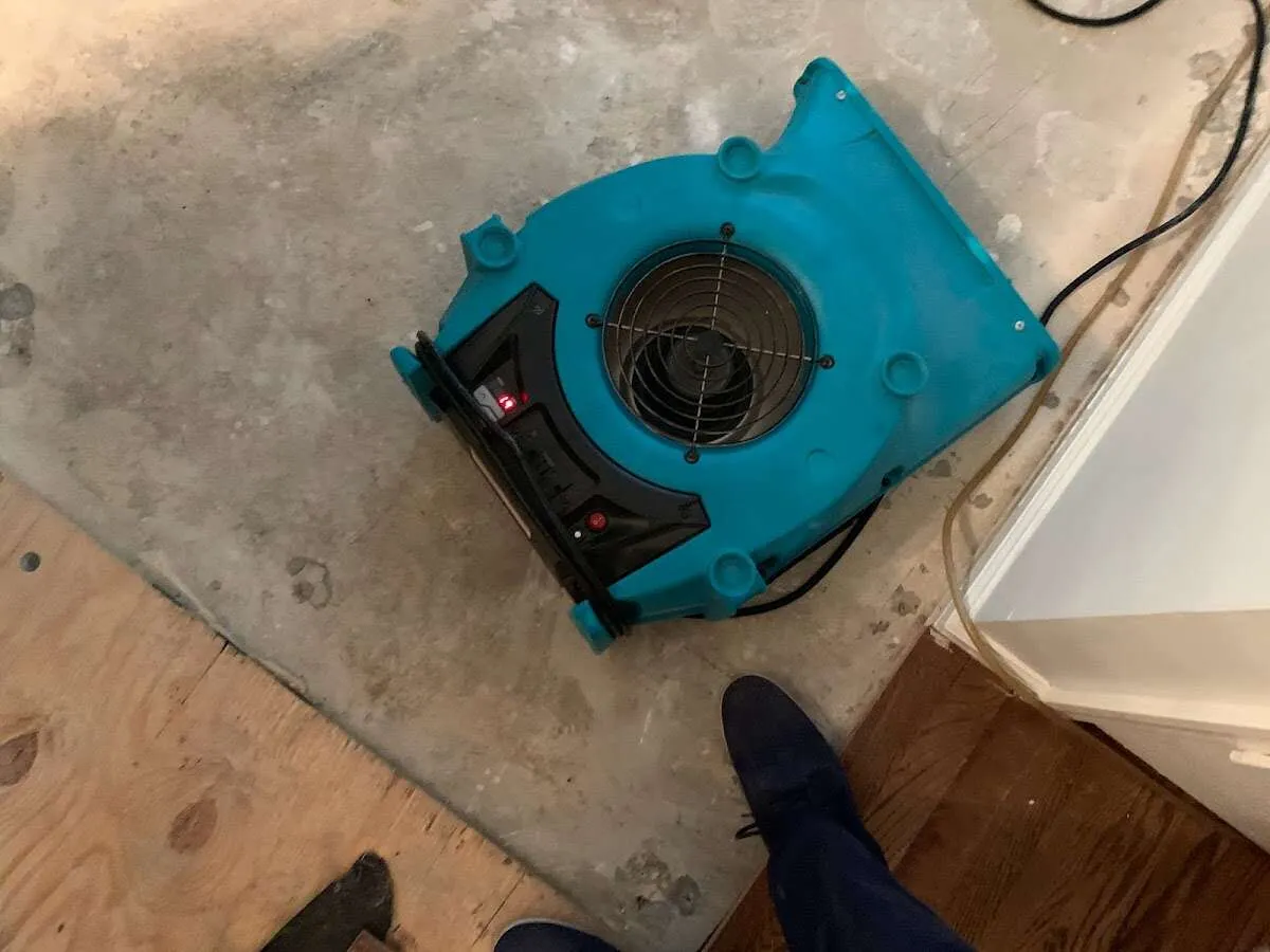 Air mover drying subfloor during Leak Detection & Repair in Whiteland