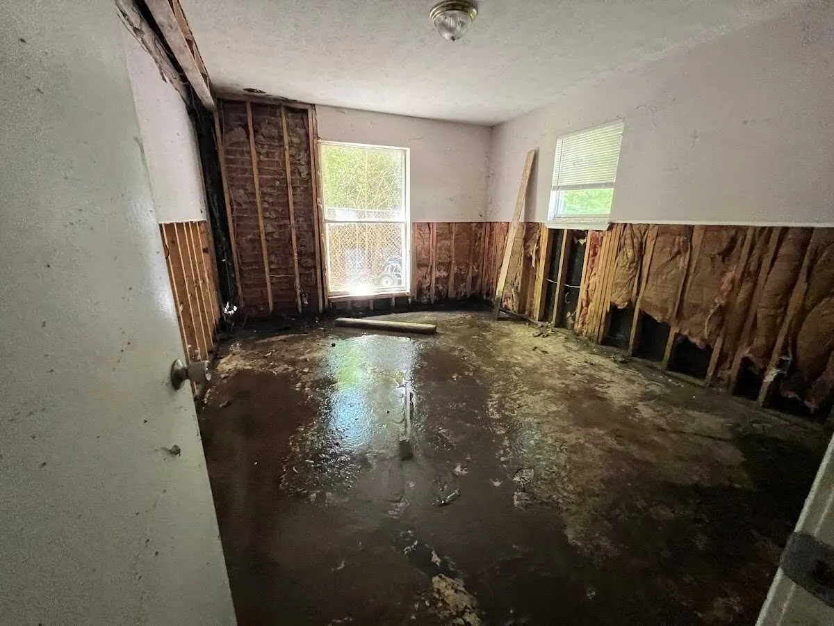Water Damage Assessment in Whiteland, IN